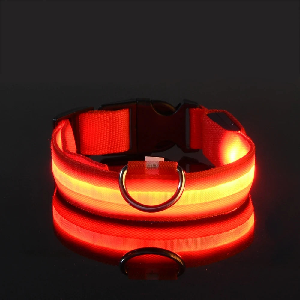 Petorao LED Safety Dog Leash & Collar Set — Reflective Glow in the Dark for Night Walks