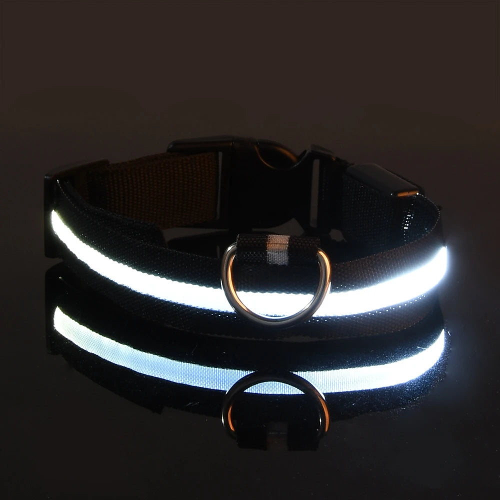 Petorao LED Safety Dog Leash & Collar Set — Reflective Glow in the Dark for Night Walks