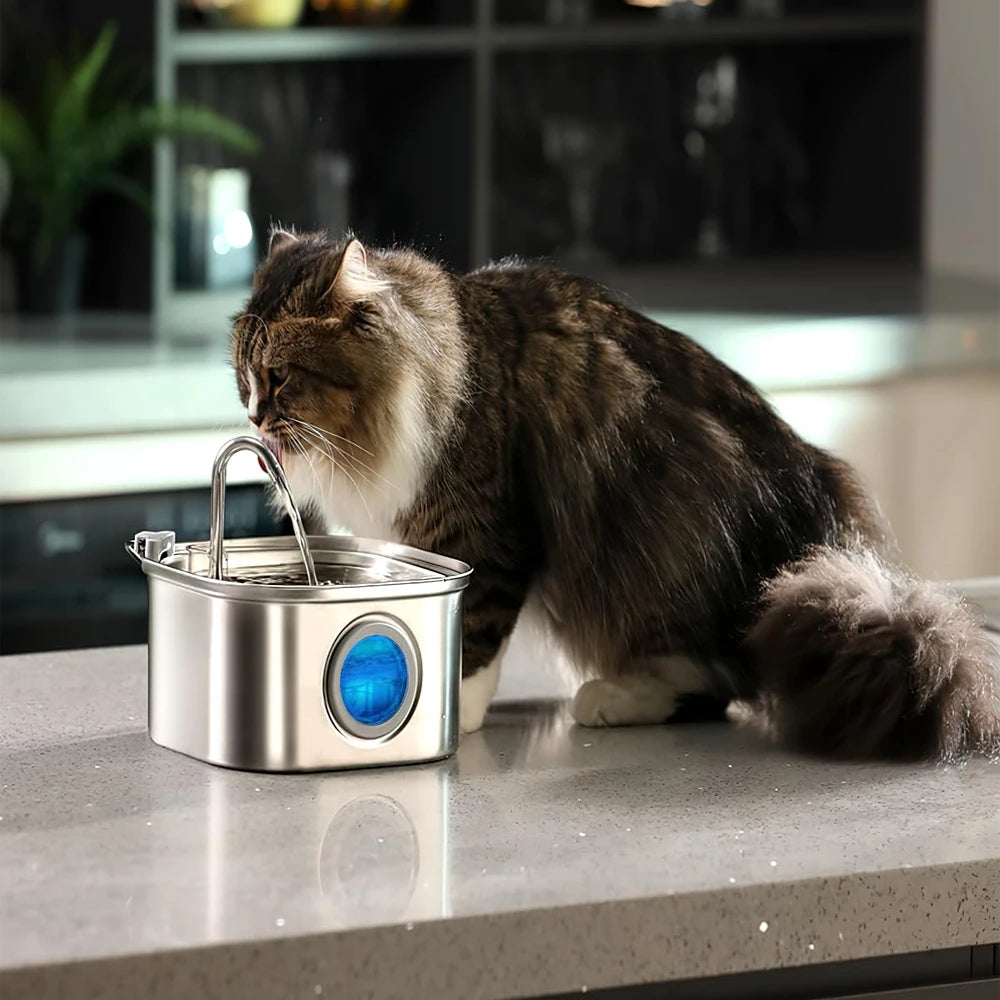 Petorao 3.2L Stainless Steel Pet Water Fountain — Auto Dispenser with Visual Window for Cats & Dogs