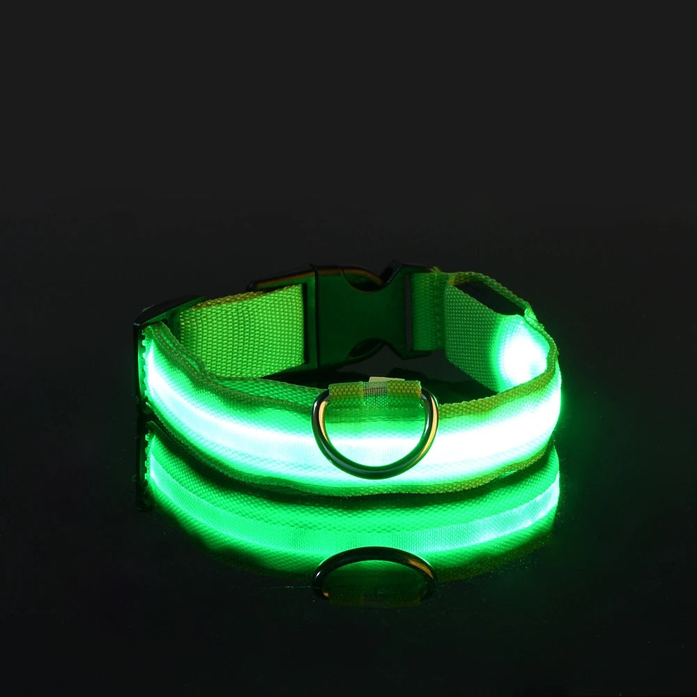 Petorao LED Safety Dog Leash & Collar Set — Reflective Glow in the Dark for Night Walks
