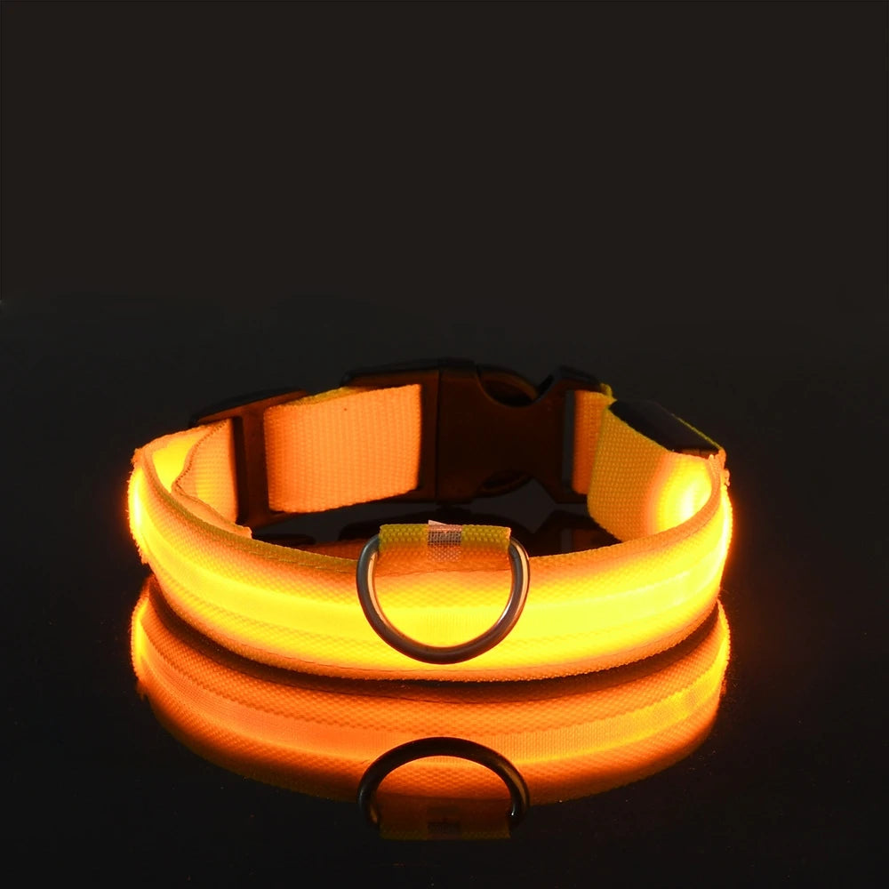 Petorao LED Safety Dog Leash & Collar Set — Reflective Glow in the Dark for Night Walks
