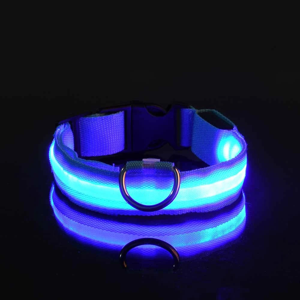 Petorao LED Safety Dog Leash & Collar Set — Reflective Glow in the Dark for Night Walks