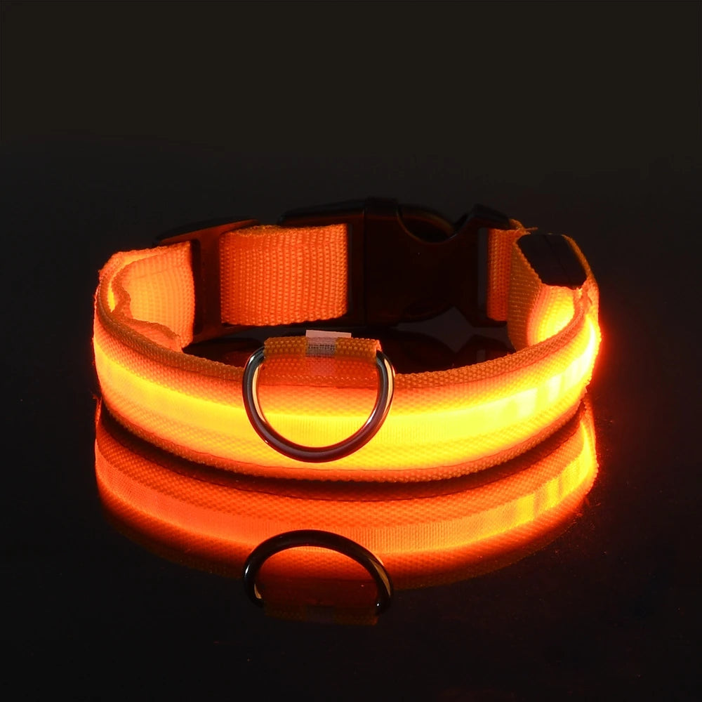 Petorao LED Safety Dog Leash & Collar Set — Reflective Glow in the Dark for Night Walks