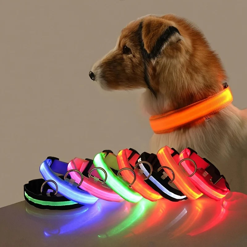 Petorao LED Safety Dog Leash & Collar Set — Reflective Glow in the Dark for Night Walks