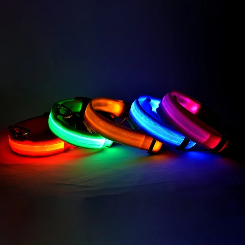 Petorao LED Safety Dog Leash & Collar Set — Reflective Glow in the Dark for Night Walks