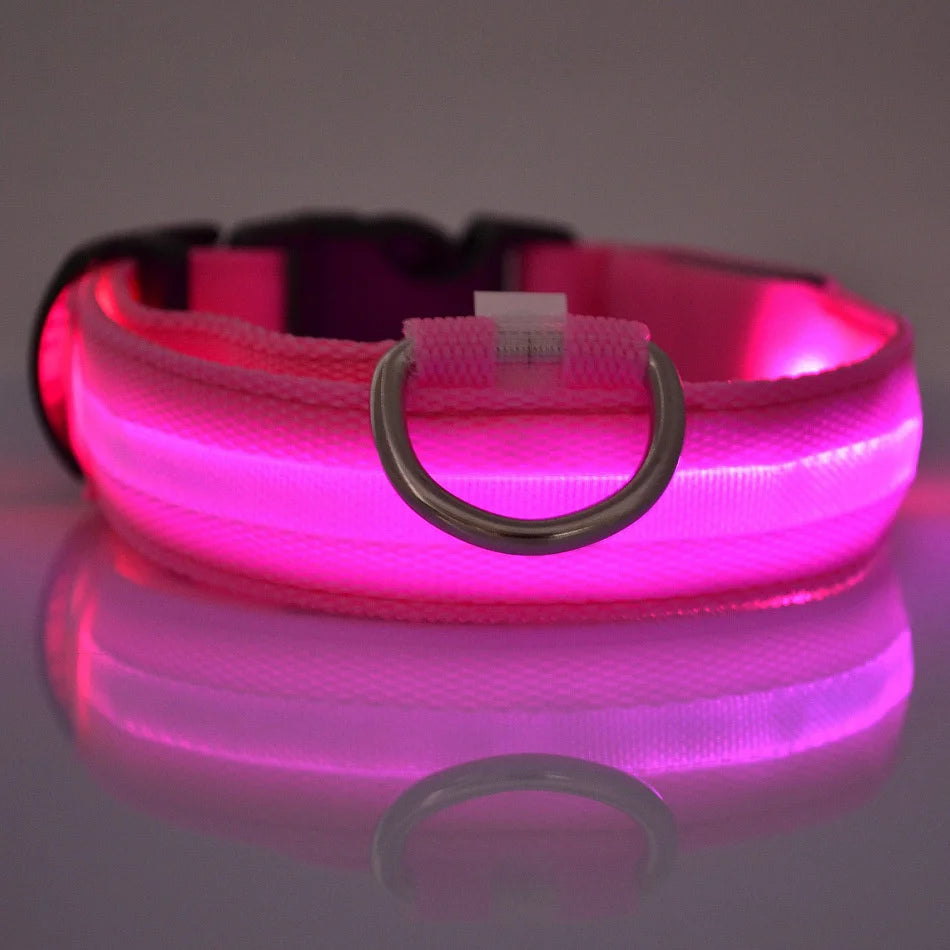 Petorao LED Safety Dog Leash & Collar Set — Reflective Glow in the Dark for Night Walks
