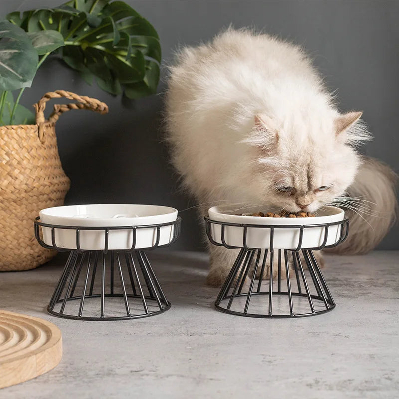 Petorao Elevated Ceramic Slow Feeder Bowl — Anti-Choking Maze Bowl with Iron Stand for Dogs & Cats