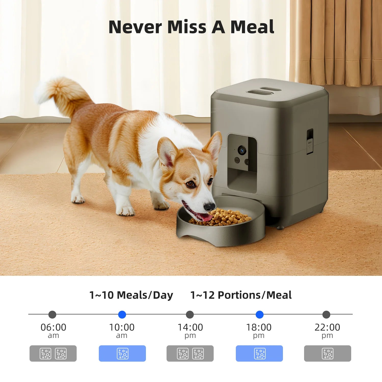 Petorao Smart WiFi Pet Feeder — Automatic, 2L with Camera & Timer