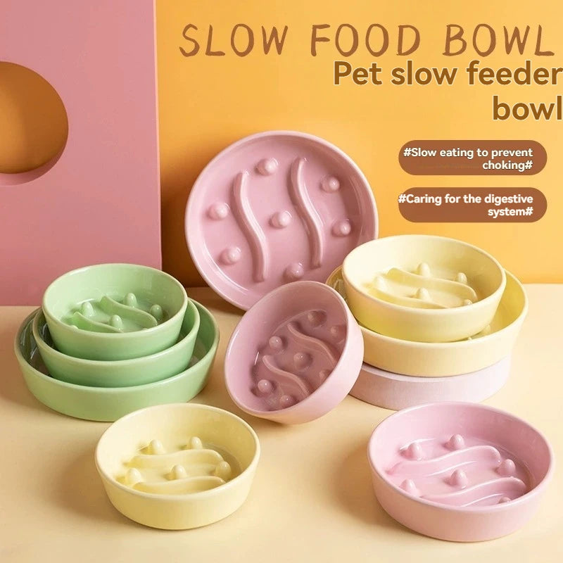 Petorao Ceramic Slow Feeder Bowl — Anti-Choking Spill-Proof Pet Food Bowl for Cats & Dogs