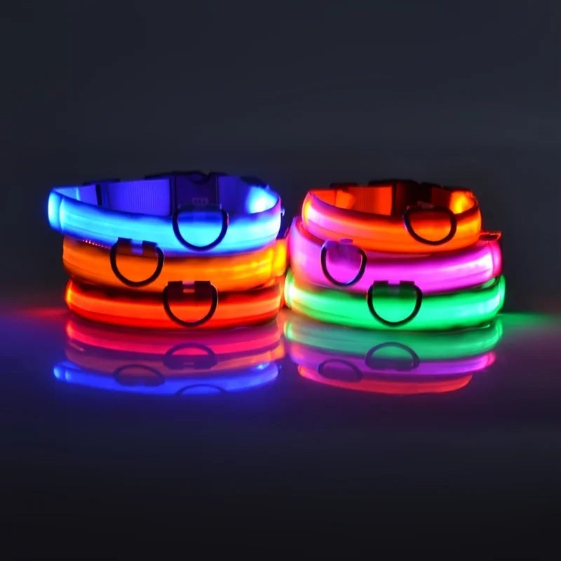 Petorao LED Safety Dog Leash & Collar Set — Reflective Glow in the Dark for Night Walks