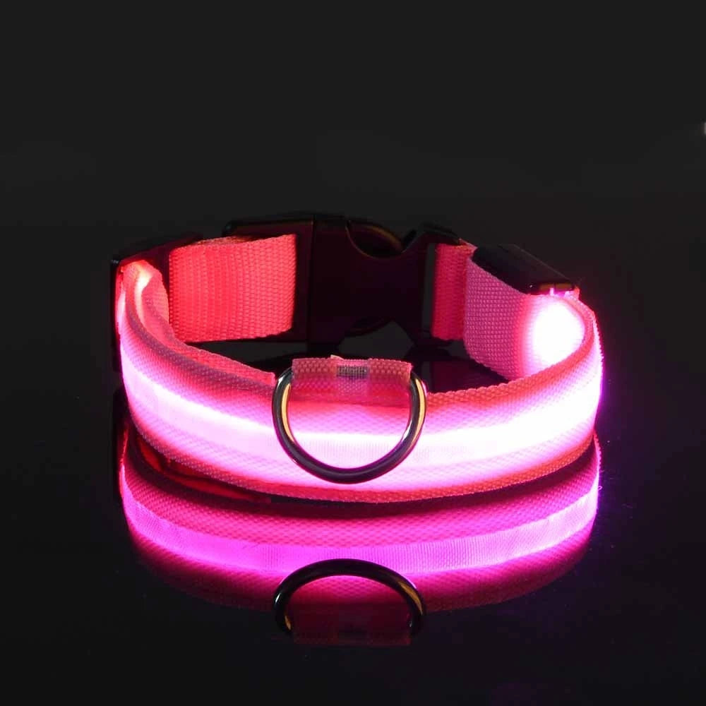 Petorao LED Safety Dog Leash & Collar Set — Reflective Glow in the Dark for Night Walks