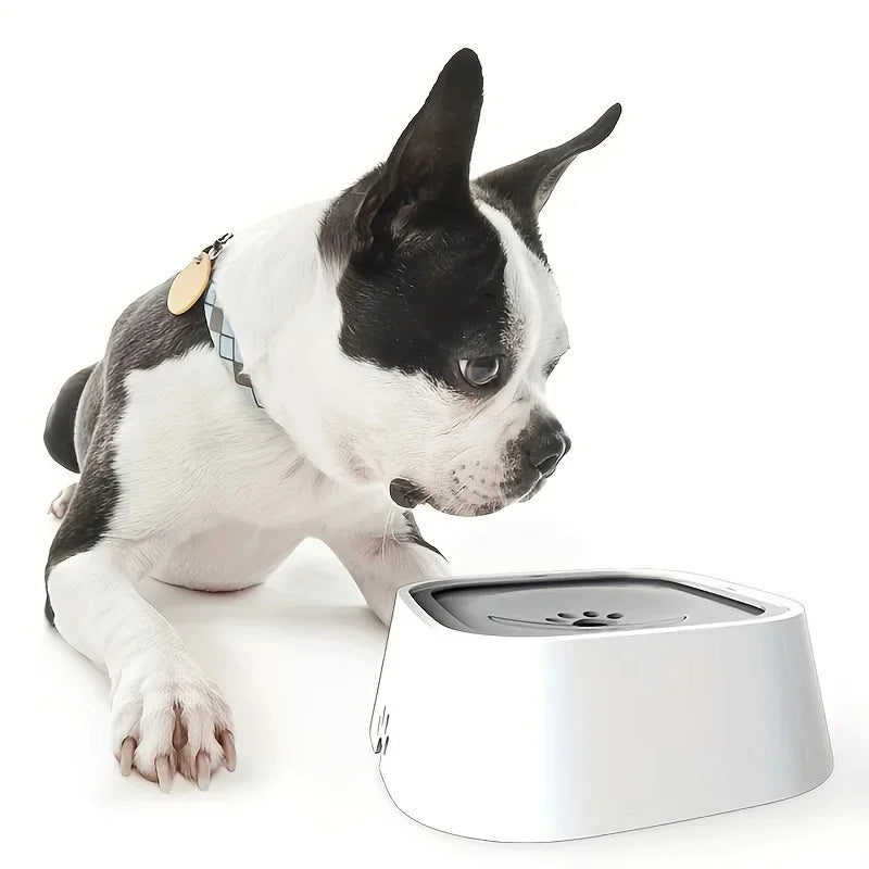 Dog Water Bowl Dog Bowl Slow Water Feeder No-Spill Pet Water Bowl Slow Feeder Dish