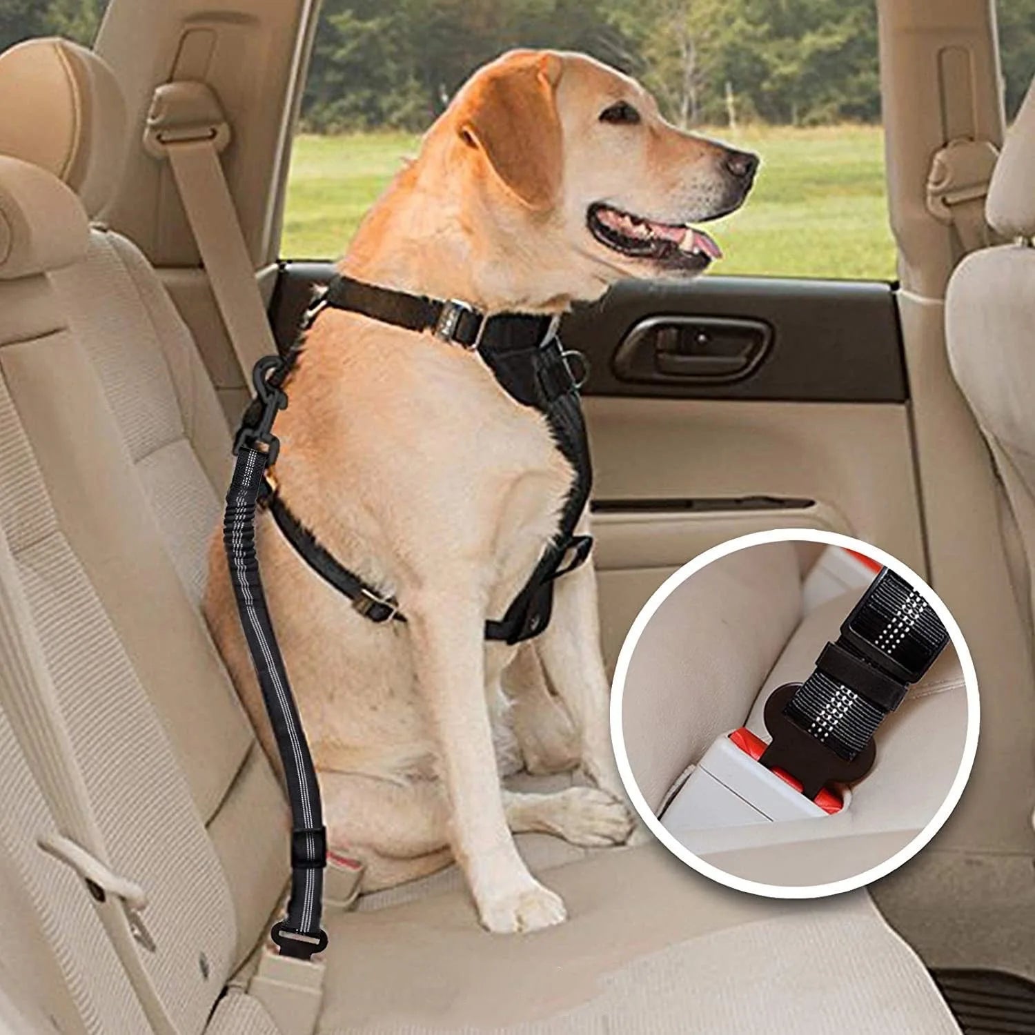 Quanto ti costa?  Name: Petorao Adjustable Pet Car Safety Belt — Reflective & Universal Fit for Dogs & Cats